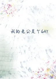 《我的老公是个gay》小说全文免费 是花花不是发发创作