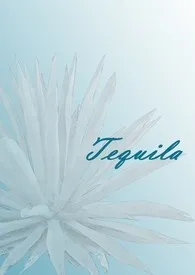 Tequila 2024最新连载章节 免费阅读完整版