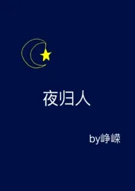 《夜归人》全文阅读 峥嵘著作全章节