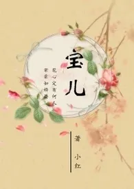 《宝儿》2024新章节上线 小红作品阅读