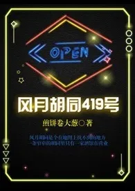 《风月胡同419号》全文阅读 煎饼卷大葱著作全章节