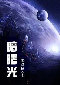 《暗曙光（H）》完本小说免费阅读 2024最新版本