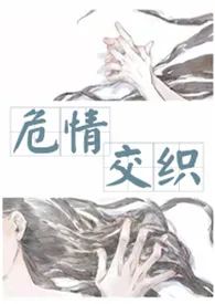 《危情交织》小说全文免费 水饺创作