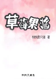 《韩娱之草莓果酱》完本小说免费阅读 2024最新版本