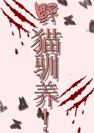 《野猫驯养！（高H！1V1）》小说全文免费 魏承泽创作