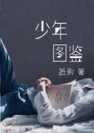 近别代表作《少年图鉴》全本小说在线阅读