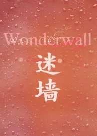 鱼眼新书《迷墙Wonderwall》2024热读推荐