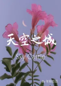 《天空之城｜Sky Castle （*N）》2024新章节上线 年糕巨巨作品阅读