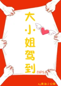 《大小姐驾到（NPH）》完本小说免费阅读 2024最新版本