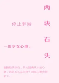 《两块石头》全文阅读 停止梦游著作全章节