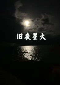 《旧夜星火》完本小说免费阅读 2024最新版本