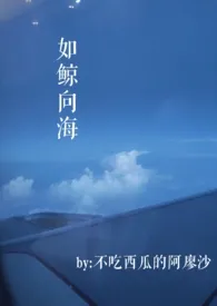 不吃西瓜的阿廖沙代表作《如鲸向海》全本小说在线阅读