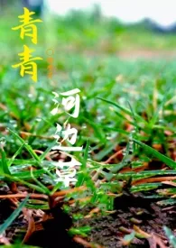 青青河边草小说 2024完本 玛丽黄莲精彩呈现