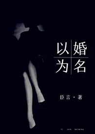 《以婚为名 （婚恋  高干 高h）》小说全文免费 臣言创作