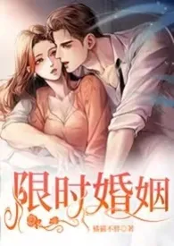 《限时婚姻 （1V1 H）》全文阅读 橘猫不胖著作全章节