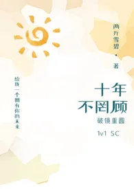 两斤雪碧新书《十年不罔顾（破镜重圆）》2024热读推荐