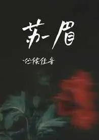 《苏眉》2024新章节上线 伫候佳音作品阅读