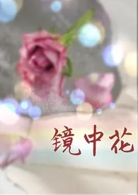 无梦代表作《镜中花（高干 娱乐圈 H）》全本小说在线阅读