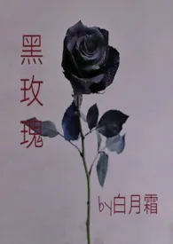 《黑玫瑰》全文阅读 白月霜著作全章节