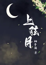 柚子酒代表作《上弦月（百合h）》全本小说在线阅读