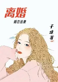 子境新书《离婚（H）》2024热读推荐