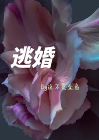 《逃婚（年下1V1）》2024新章节上线 这不是金鱼作品阅读