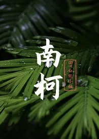 南柯（现言，年上，1V1）小说 2024完本 白熊小姐精彩呈现