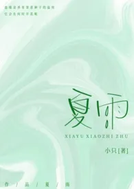 夏雨（骨科/兄妹）最新章节 小只经典小说在线阅读