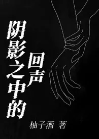 柚子酒新书《阴影之中的回声（百合h）》2024热读推荐