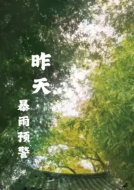 《昨天暴雨预警》小说全文免费 密码本创作