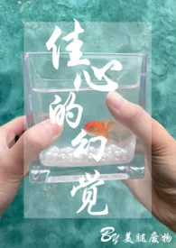 《佳心的幻觉》全文阅读 温谜题著作全章节