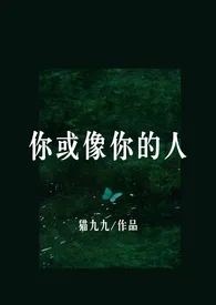 《你或像你的人（1v1H）》全文阅读 猫九九著作全章节