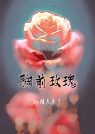 《胸前玫瑰（老文纯百合gl）》2024新章节上线 精灵来了作品阅读