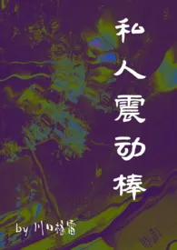 私人震动棒 2024最新连载章节 免费阅读完整版