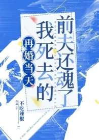 《再婚当天，我死去的前夫还魂了（1v2）》最新更新 不吃辣椒作品全集免费阅读