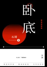 石哥代表作《卧底》全本小说在线阅读